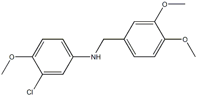 3-chloro-N-[(3,4-dimethoxyphenyl)methyl]-4-methoxyaniline Structure