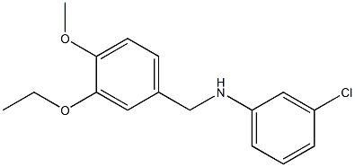 3-chloro-N-[(3-ethoxy-4-methoxyphenyl)methyl]aniline Structure