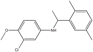 3-chloro-N-[1-(2,5-dimethylphenyl)ethyl]-4-methoxyaniline 구조식 이미지