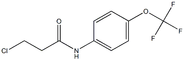 3-chloro-N-[4-(trifluoromethoxy)phenyl]propanamide 구조식 이미지