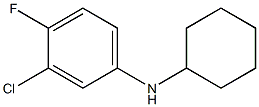 3-chloro-N-cyclohexyl-4-fluoroaniline Structure
