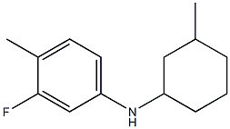 3-fluoro-4-methyl-N-(3-methylcyclohexyl)aniline Structure