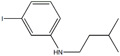 3-iodo-N-(3-methylbutyl)aniline 구조식 이미지