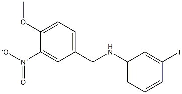 3-iodo-N-[(4-methoxy-3-nitrophenyl)methyl]aniline Structure