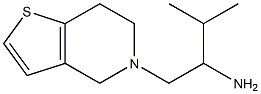 3-methyl-1-{4H,5H,6H,7H-thieno[3,2-c]pyridin-5-yl}butan-2-amine 구조식 이미지