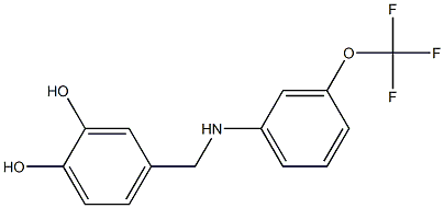 4-({[3-(trifluoromethoxy)phenyl]amino}methyl)benzene-1,2-diol Structure