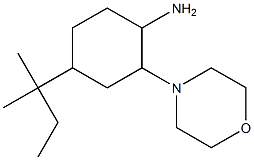 4-(1,1-dimethylpropyl)-2-morpholin-4-ylcyclohexanamine 구조식 이미지