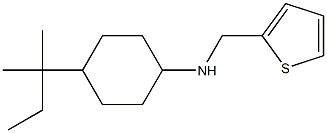 4-(2-methylbutan-2-yl)-N-(thiophen-2-ylmethyl)cyclohexan-1-amine 구조식 이미지