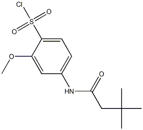 4-(3,3-dimethylbutanamido)-2-methoxybenzene-1-sulfonyl chloride Structure