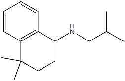 4,4-dimethyl-N-(2-methylpropyl)-1,2,3,4-tetrahydronaphthalen-1-amine Structure