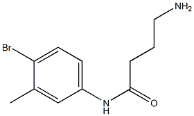 4-amino-N-(4-bromo-3-methylphenyl)butanamide Structure