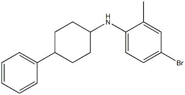 4-bromo-2-methyl-N-(4-phenylcyclohexyl)aniline 구조식 이미지