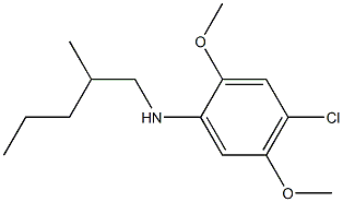 4-chloro-2,5-dimethoxy-N-(2-methylpentyl)aniline 구조식 이미지