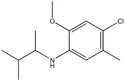 4-chloro-2-methoxy-5-methyl-N-(3-methylbutan-2-yl)aniline 구조식 이미지