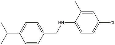 4-chloro-2-methyl-N-{[4-(propan-2-yl)phenyl]methyl}aniline 구조식 이미지