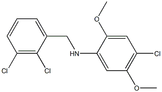 4-chloro-N-[(2,3-dichlorophenyl)methyl]-2,5-dimethoxyaniline 구조식 이미지