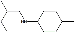 4-methyl-N-(2-methylbutyl)cyclohexan-1-amine Structure