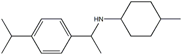 4-methyl-N-{1-[4-(propan-2-yl)phenyl]ethyl}cyclohexan-1-amine Structure
