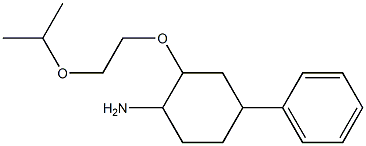 4-phenyl-2-[2-(propan-2-yloxy)ethoxy]cyclohexan-1-amine Structure