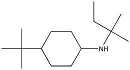 4-tert-butyl-N-(2-methylbutan-2-yl)cyclohexan-1-amine 구조식 이미지