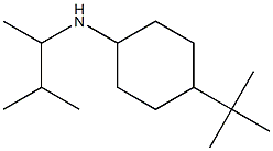 4-tert-butyl-N-(3-methylbutan-2-yl)cyclohexan-1-amine 구조식 이미지