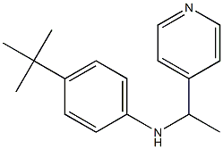 4-tert-butyl-N-[1-(pyridin-4-yl)ethyl]aniline 구조식 이미지