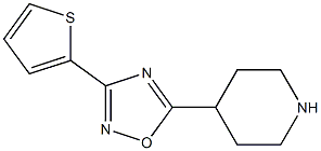 5-(piperidin-4-yl)-3-(thiophen-2-yl)-1,2,4-oxadiazole 구조식 이미지