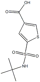 5-(tert-butylsulfamoyl)thiophene-3-carboxylic acid Structure