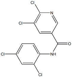 5,6-dichloro-N-(2,4-dichlorophenyl)pyridine-3-carboxamide 구조식 이미지