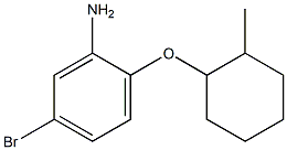 5-bromo-2-[(2-methylcyclohexyl)oxy]aniline Structure