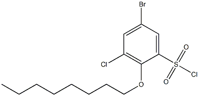 5-bromo-3-chloro-2-(octyloxy)benzene-1-sulfonyl chloride 구조식 이미지