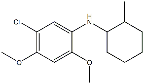 5-chloro-2,4-dimethoxy-N-(2-methylcyclohexyl)aniline 구조식 이미지