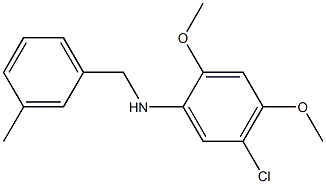 5-chloro-2,4-dimethoxy-N-[(3-methylphenyl)methyl]aniline Structure