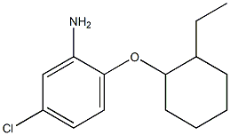 5-chloro-2-[(2-ethylcyclohexyl)oxy]aniline 구조식 이미지