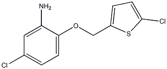 5-chloro-2-[(5-chlorothiophen-2-yl)methoxy]aniline 구조식 이미지