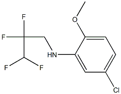 5-chloro-2-methoxy-N-(2,2,3,3-tetrafluoropropyl)aniline 구조식 이미지