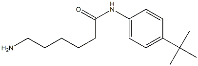 6-amino-N-(4-tert-butylphenyl)hexanamide Structure
