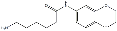 6-amino-N-2,3-dihydro-1,4-benzodioxin-6-ylhexanamide Structure