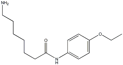 7-amino-N-(4-ethoxyphenyl)heptanamide Structure
