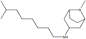 8-methyl-N-(7-methyloctyl)-8-azabicyclo[3.2.1]octan-3-amine 구조식 이미지