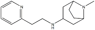 8-methyl-N-[2-(pyridin-2-yl)ethyl]-8-azabicyclo[3.2.1]octan-3-amine 구조식 이미지