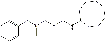 benzyl[3-(cyclooctylamino)propyl]methylamine 구조식 이미지
