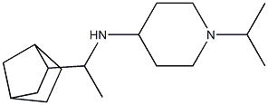 N-(1-{bicyclo[2.2.1]heptan-2-yl}ethyl)-1-(propan-2-yl)piperidin-4-amine Structure