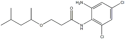 N-(2-amino-4,6-dichlorophenyl)-3-[(4-methylpentan-2-yl)oxy]propanamide Structure