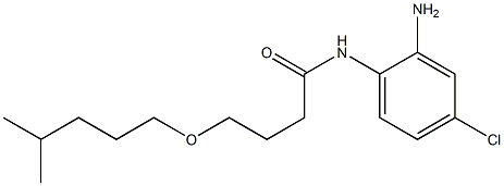 N-(2-amino-4-chlorophenyl)-4-[(4-methylpentyl)oxy]butanamide 구조식 이미지