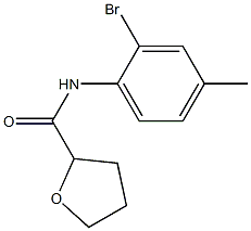 N-(2-bromo-4-methylphenyl)tetrahydrofuran-2-carboxamide 구조식 이미지