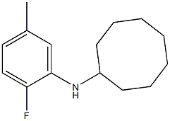 N-(2-fluoro-5-methylphenyl)cyclooctanamine 구조식 이미지