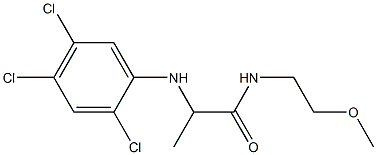 N-(2-methoxyethyl)-2-[(2,4,5-trichlorophenyl)amino]propanamide 구조식 이미지