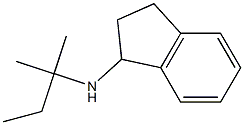N-(2-methylbutan-2-yl)-2,3-dihydro-1H-inden-1-amine 구조식 이미지