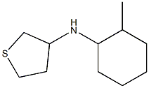 N-(2-methylcyclohexyl)thiolan-3-amine 구조식 이미지